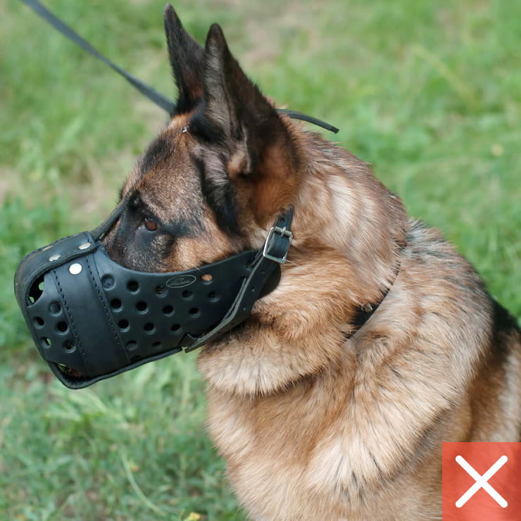 Глухой намордник не дает собаке свободно открыть пасть — дышать в таком сложно. Источник: fordogtrainers.ru