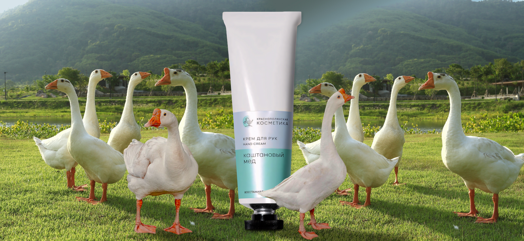 В России появился свой стандарт нату­ральной косметики. Мы опросили бьюти-производи­телей, как это отразится на их работе