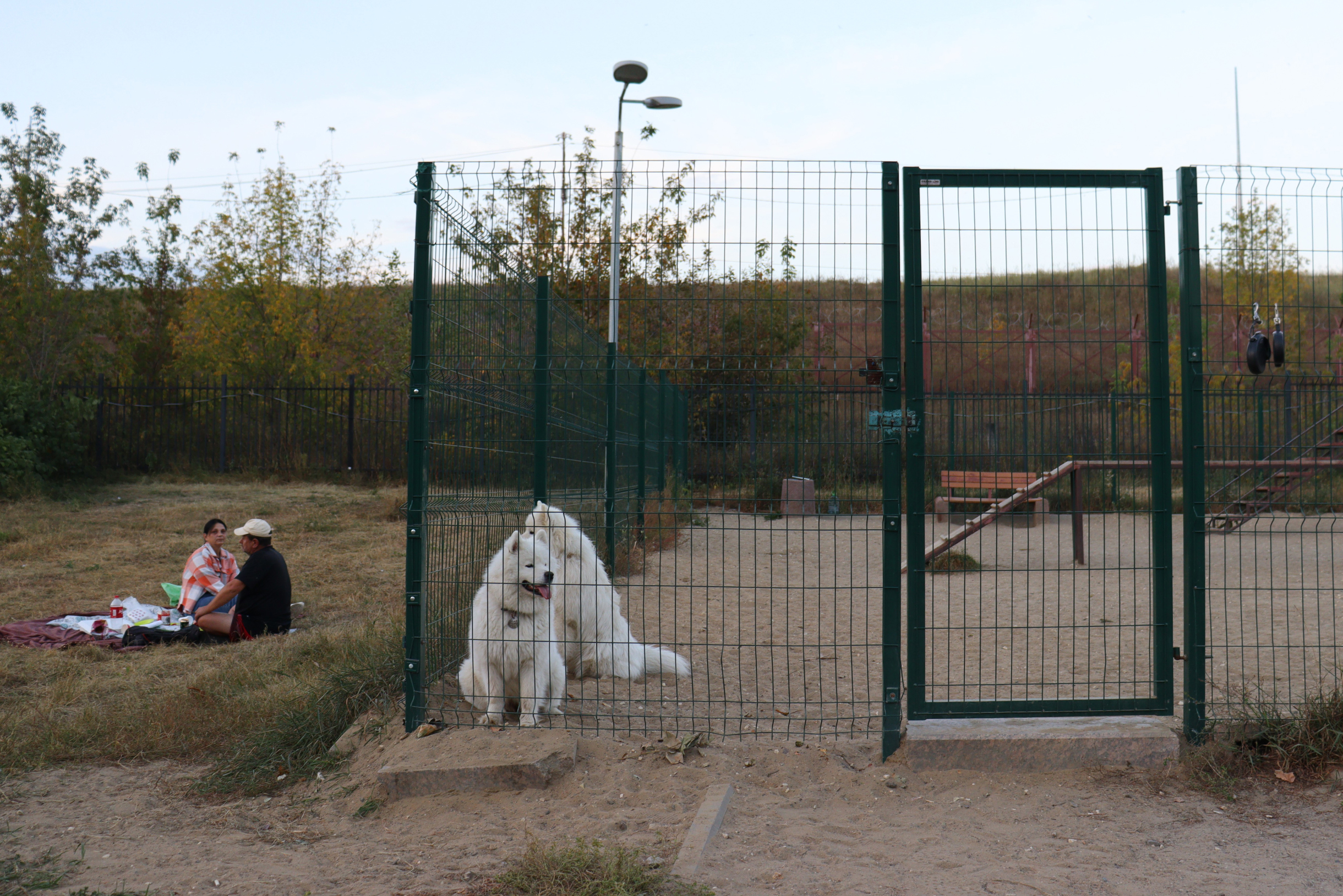 Есть вольер для выгула собак. Фотография: Татьяна Леонтьева