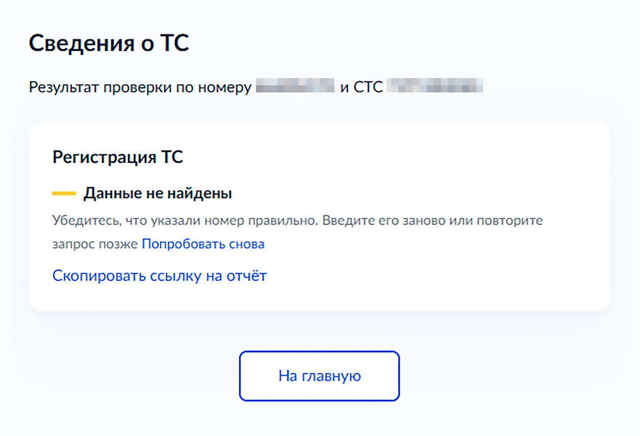Отчет о проверке авто через госуслуги
