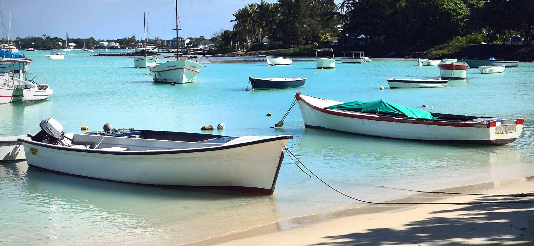 Встреча с китами, сафари и завтрак с жирафами: как прошел мой отпуск на Маврикии