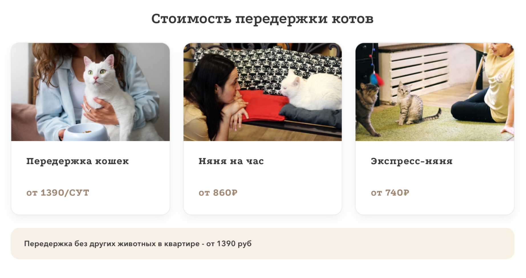 Экспресс-няня навестит питомца, чтобы покормить его и почистить лоток. © murchalkin.ru