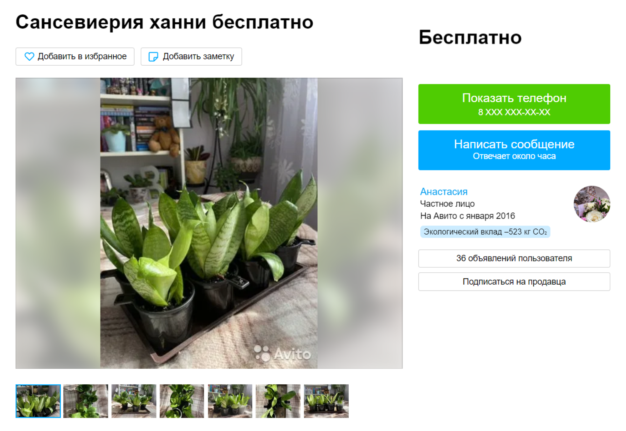 Так я нашла бесплатные сансевиерии, которые в магазине стоят от 800 ₽. Источник: avito.ru
