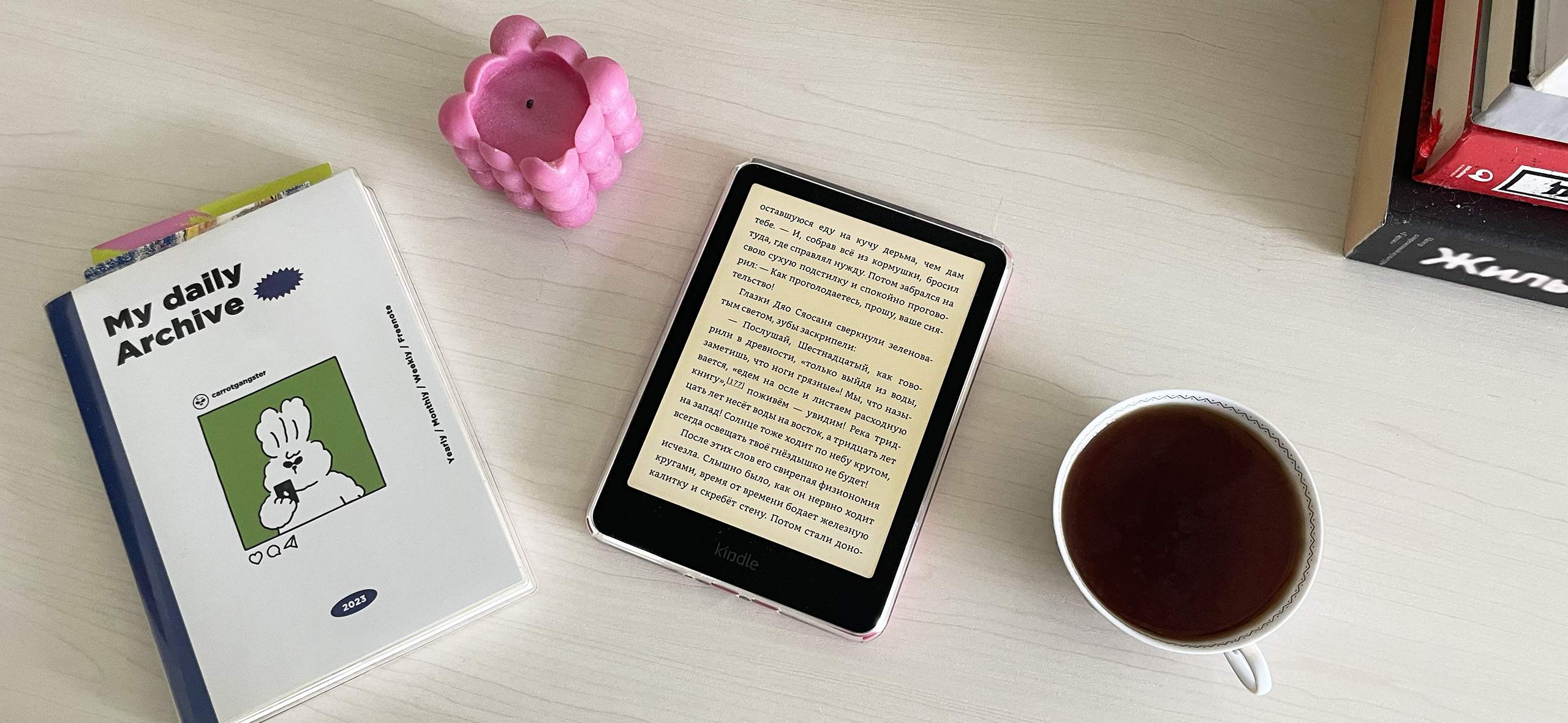 Я перешла на ридер — и теперь читаю по 30 книг в месяц