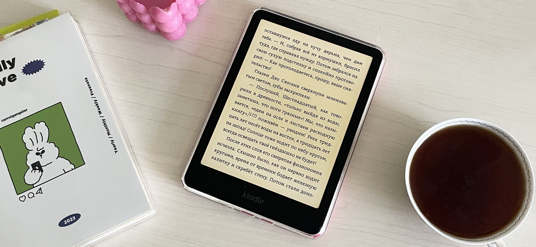 Я перешла на ридер — и теперь читаю по 30 книг в месяц