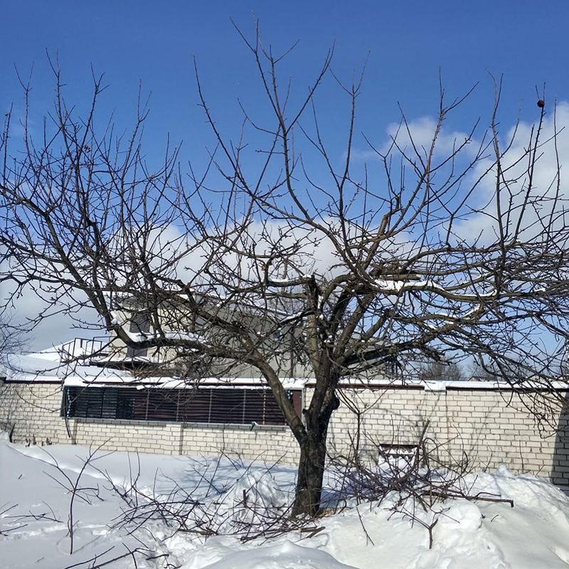 Гостиная (МК 31ель/старое дерево). МДФ фасады.