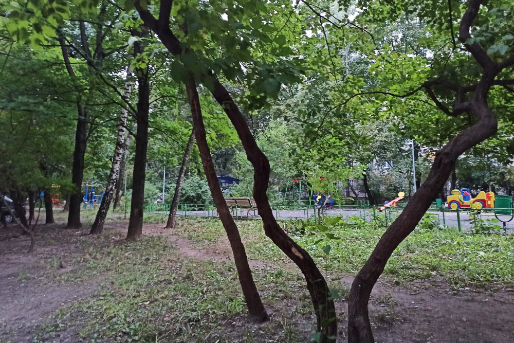 В Матвеевском гораздо больше зелени, чем в Очакове. Это один из старых дворов, деревья посажены в 1970⁠-⁠х