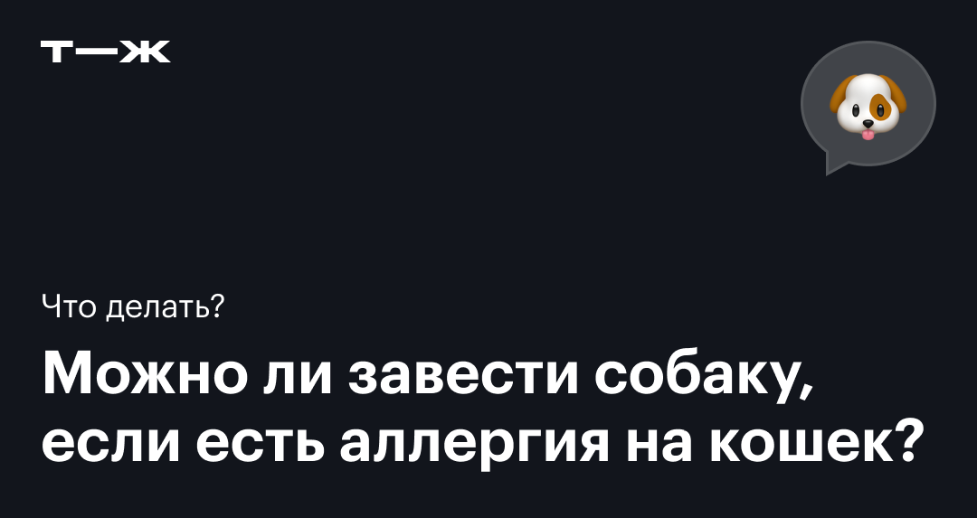 Аллергия на животных: как заранее узнать, можно ли завести домашнего питомца