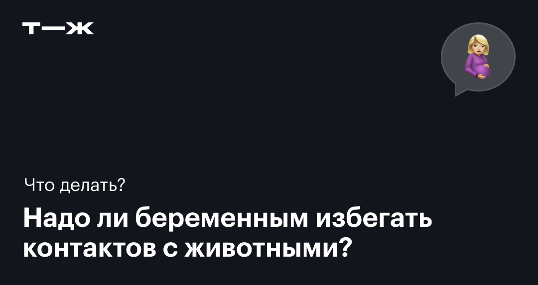 Почему беременным нельзя контактировать с кошками? | ЗооБлог