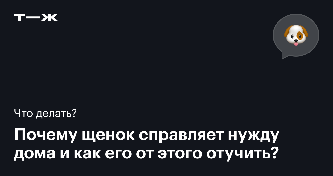 Щенок перестал ходить на пелёнку.