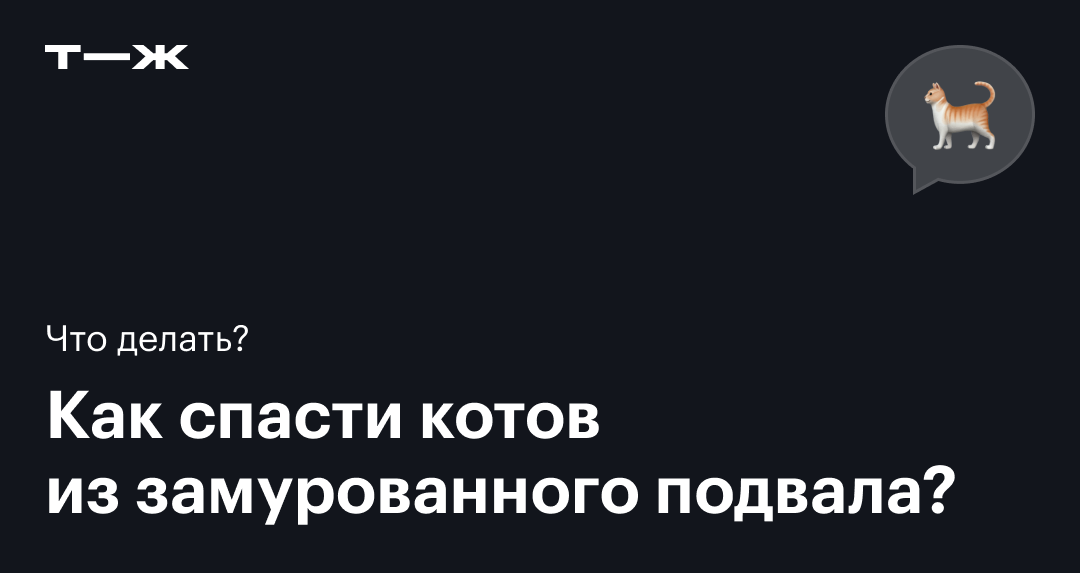 Как решить проблему подвальных кошек и замуровывания подвалов