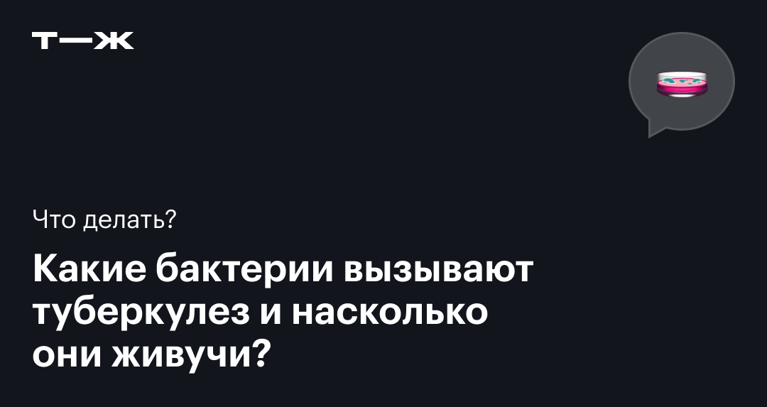 Сколько живет палочка Коха, как долго бактерии туберкулеза заразны вне ...