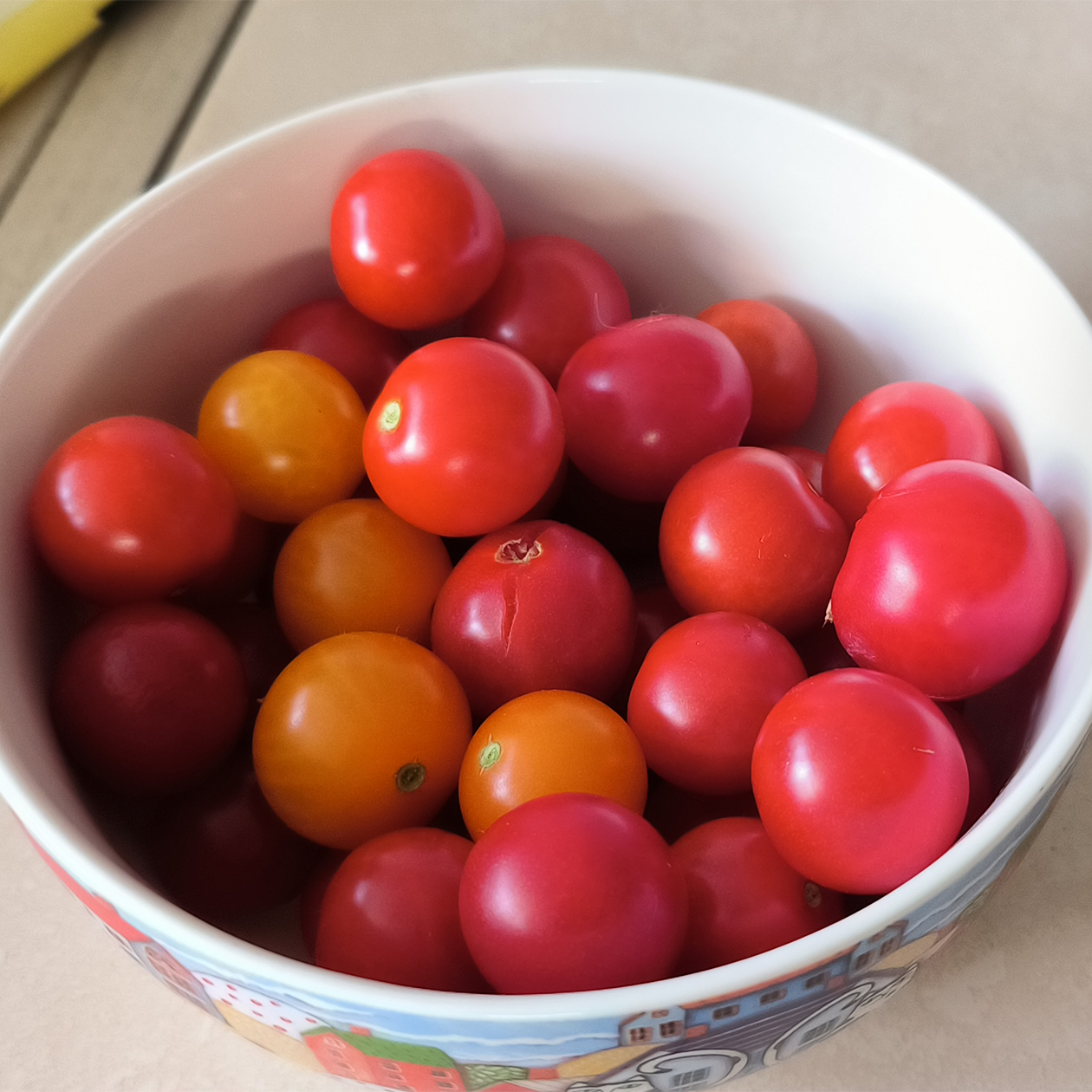 31 мая — один из первых урожаев томатов черри