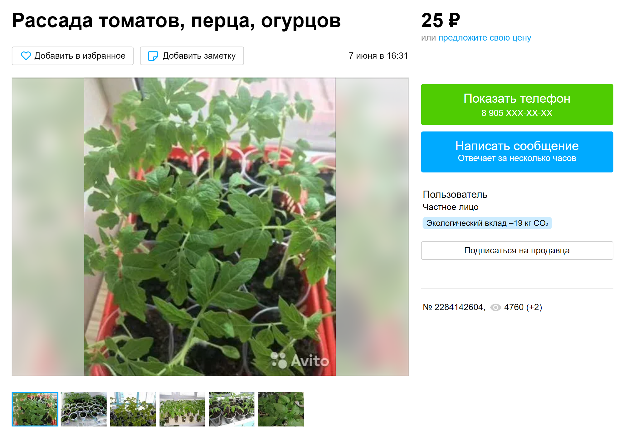 Огород на подоконнике: как вырастить овощи, зелень и даже клубнику у себя дома - Лайфхакер
