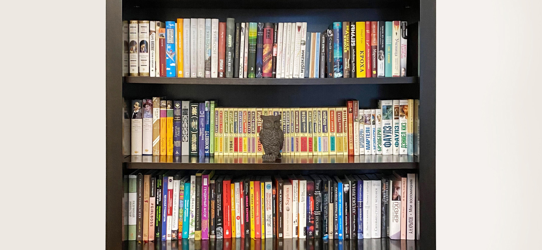 «Мечтаю о квартире побольше»: 13 домашних библиотек любителей бумажных книг