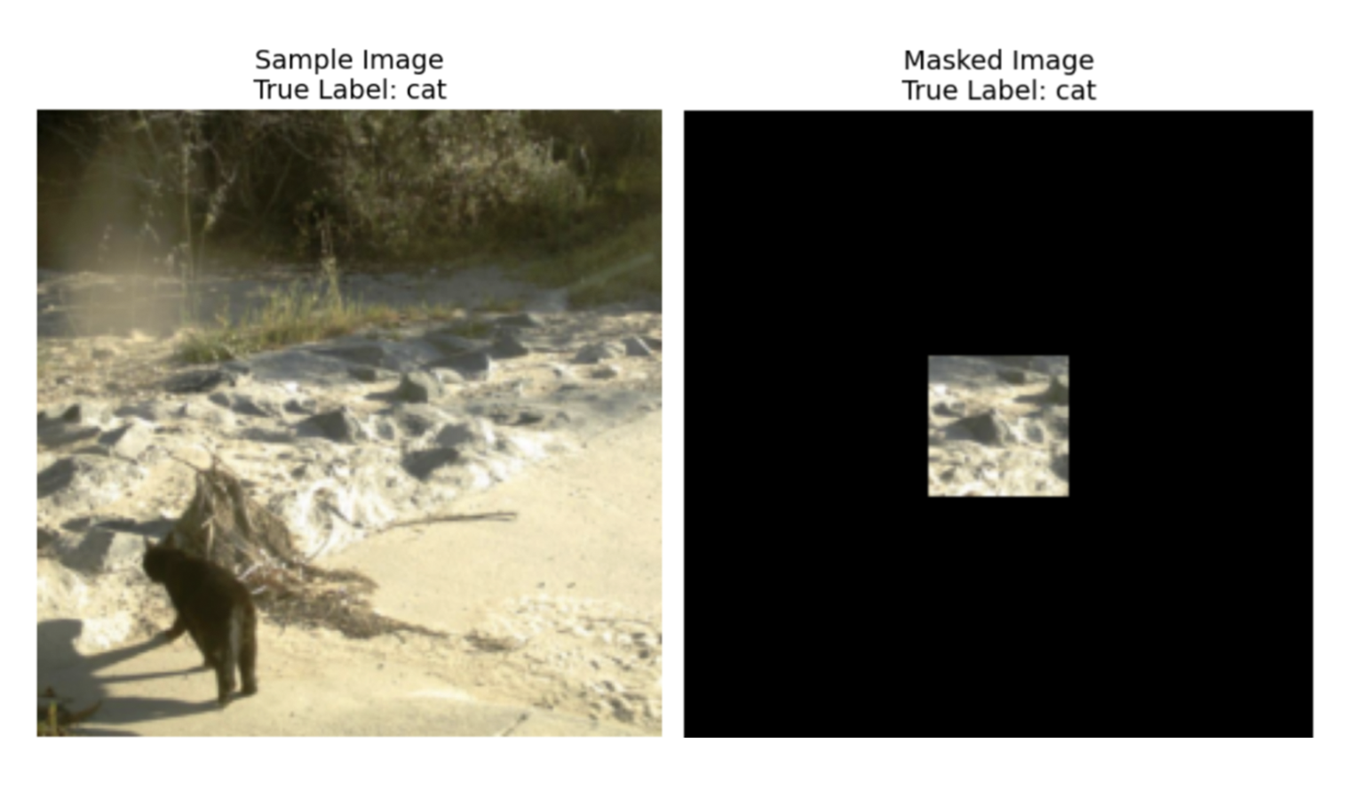 Пример неудачно выбранного прямоугольника: животное не попало в него, поэтому нейросеть не смогла распознать зверя
