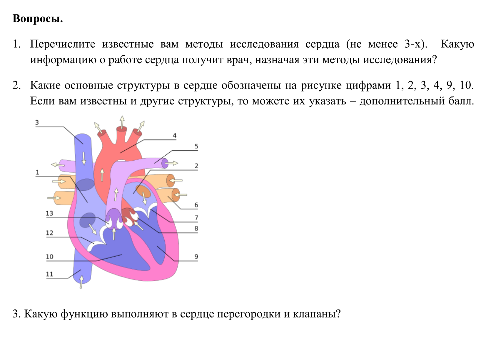 Задание заключительного этапа олимпиады школьников СПбГУ по медицине 2024 года. Источник: olympiada.spbu.ru