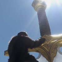 Обложка статьи