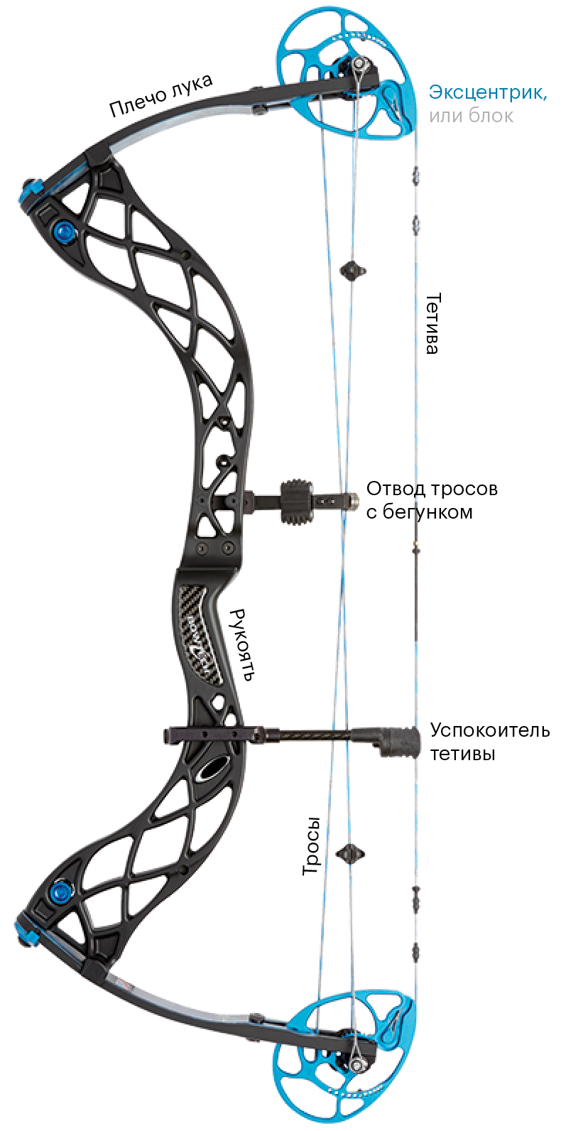 Я стреляю из блочного лука Bowtech Eva Shockey Signature Series. Вот как он устроен