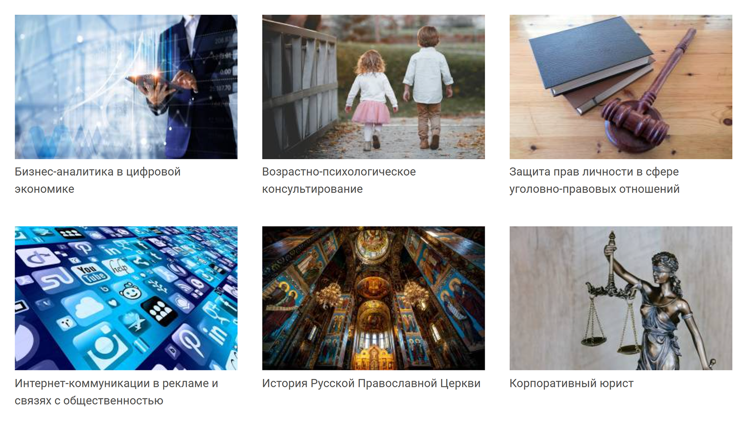 Магистерские программы, которые можно проходить дистанционно. Источник: rggu.ru