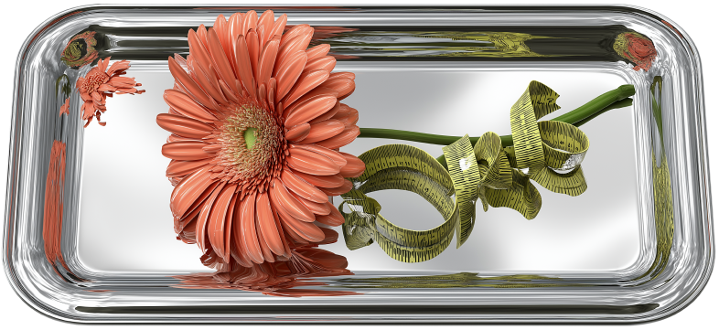 Как я сделала бариатрическую операцию