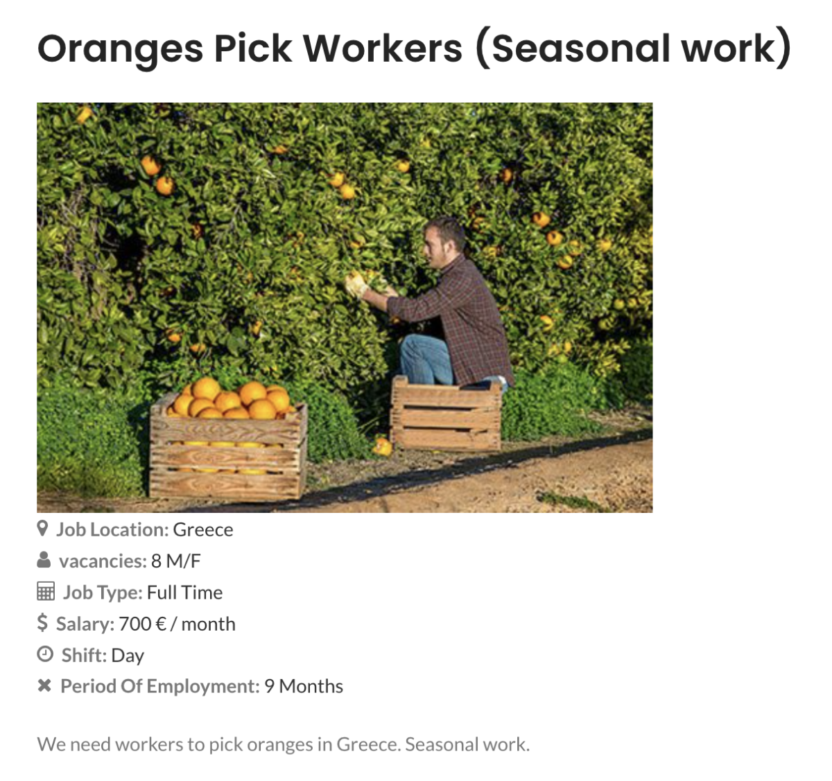 Иногда даже попадаются объявления о поиске сотрудников на сезонную работу с официальным трудоустройством и приличной зарплатой. Источник: prabeshgroup.com