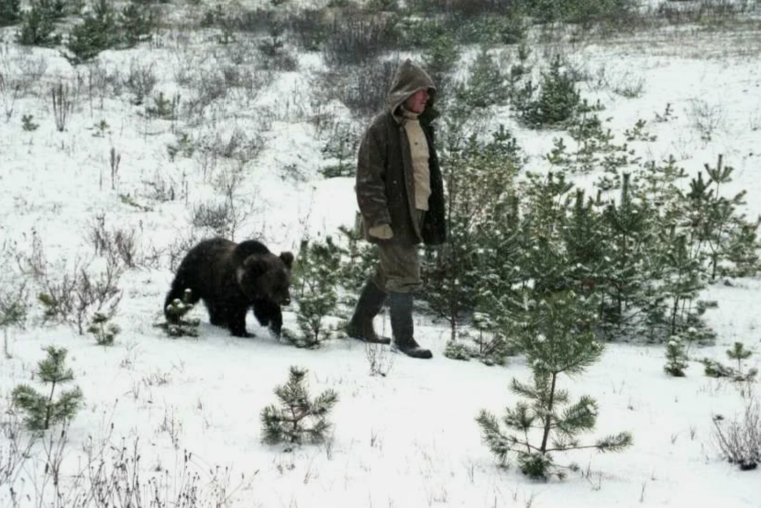 Отец и его подопечный медвежонок