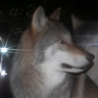 Обложка статьи