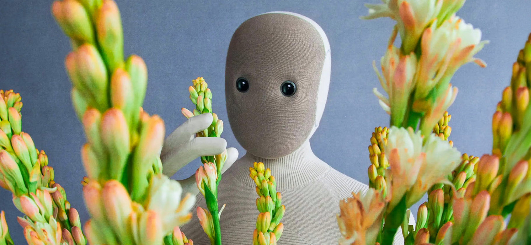 Стартап 1X предста­вил робота-гума­ноида NEO, который помогает по дому, — он стоит 20 000 $