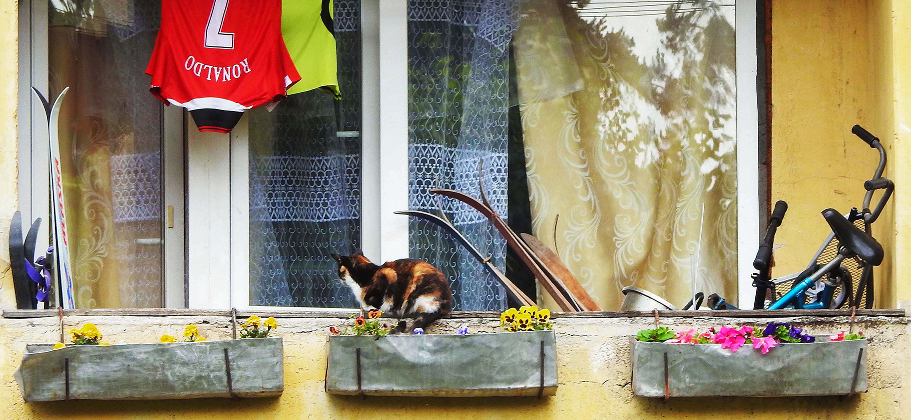 Стоимость вторич­ного жилья в круп­ных горо­дах России перестала зависеть от наличия балкона