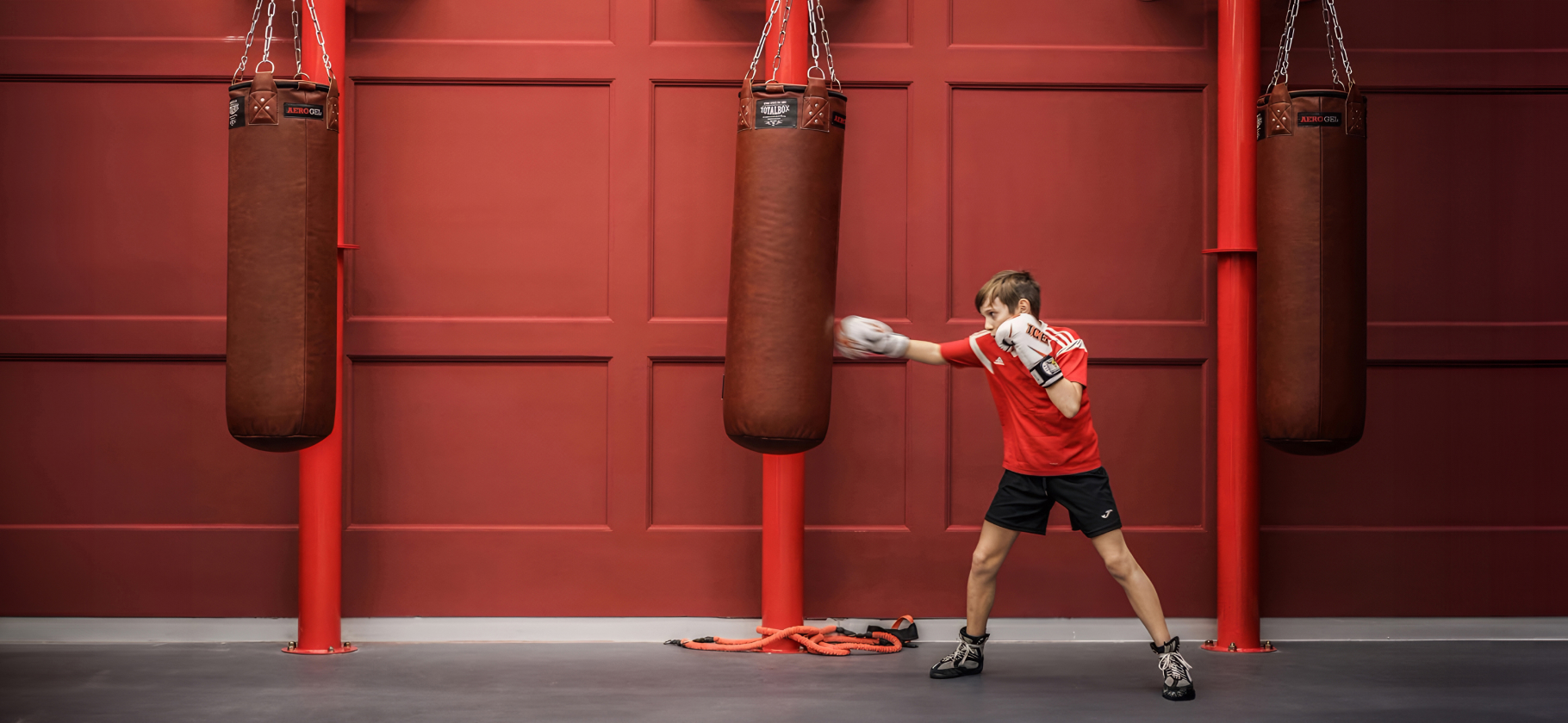 11 секций бокса в Москве