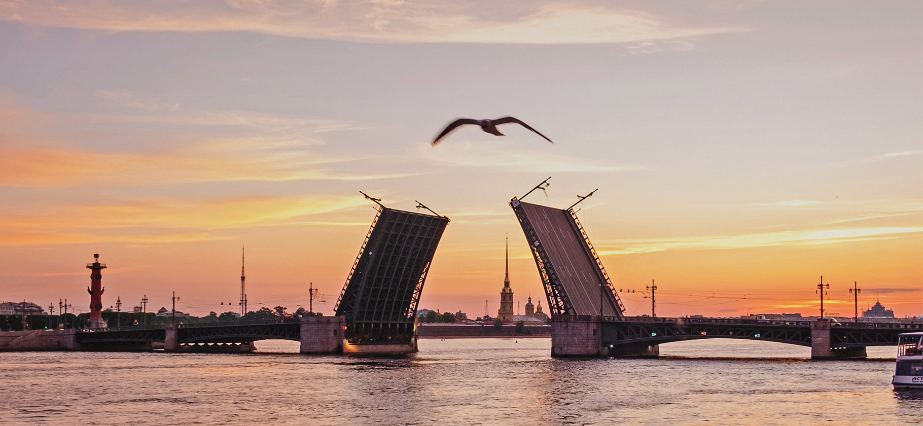 12 мостов Санкт-Петербурга, которые обязательно надо увидеть