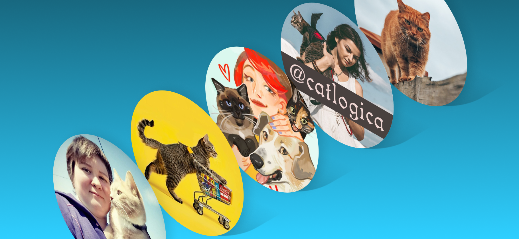 9 телеграм-каналов, которые помогут понять кошек