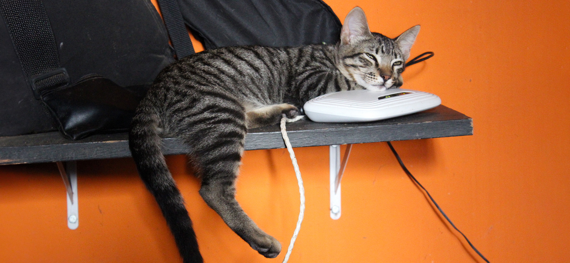 Минцифры открыло на госуслугах форму для жалоб на про­блемы с выбором провайдеров в домах