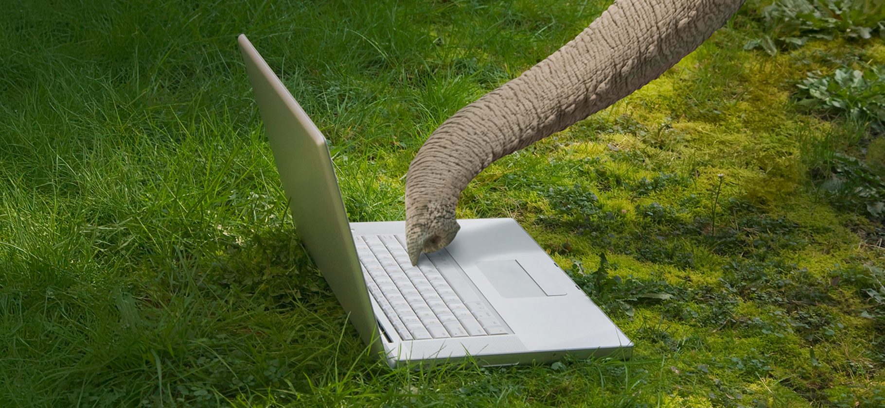 Германия запустила сервис поиска работы для ино­стран­ных специа­листов, живущих за границей