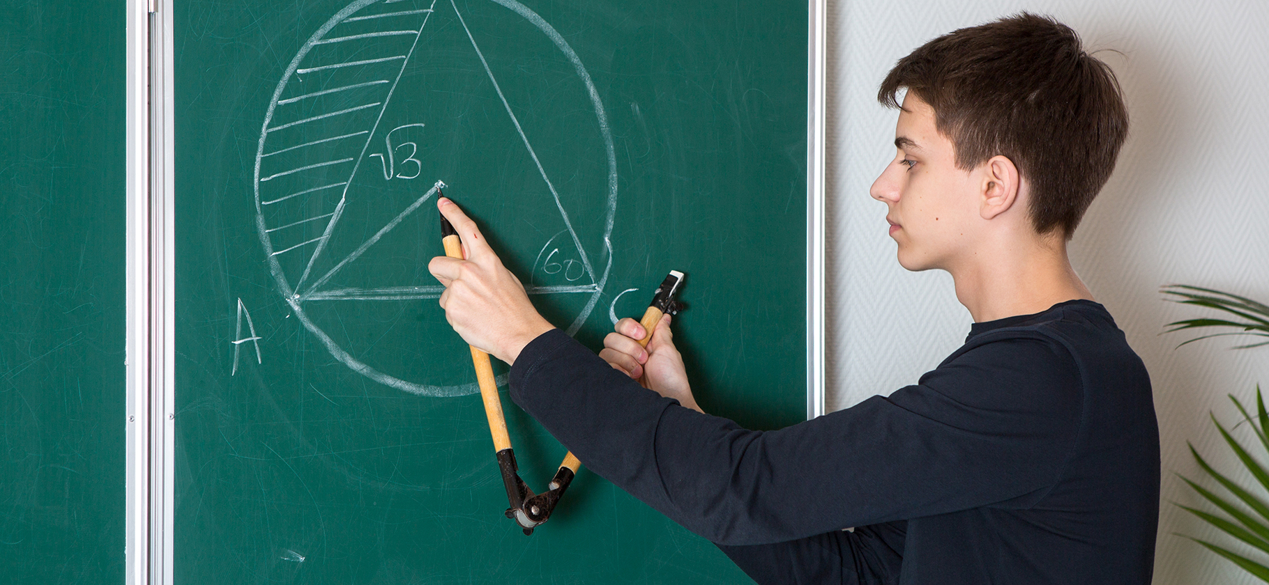Что за проект «Математическая вертикаль» в московских школах