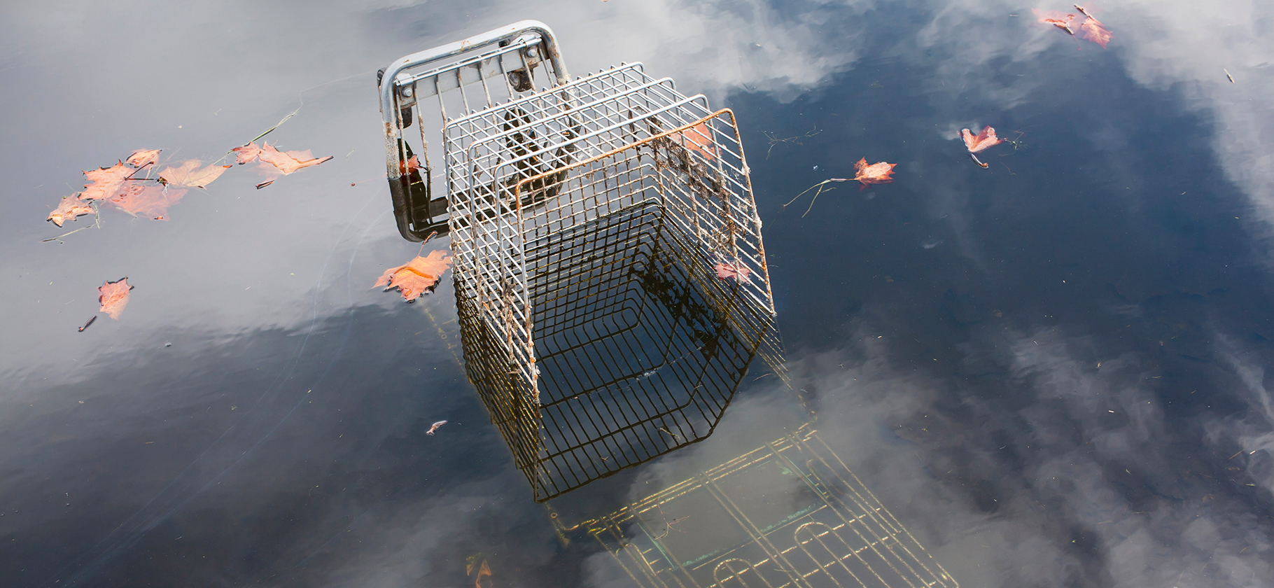 Роскомнадзор: объем рекламы в Instagram* в сентябре — октябре упал в 64 раза год к году