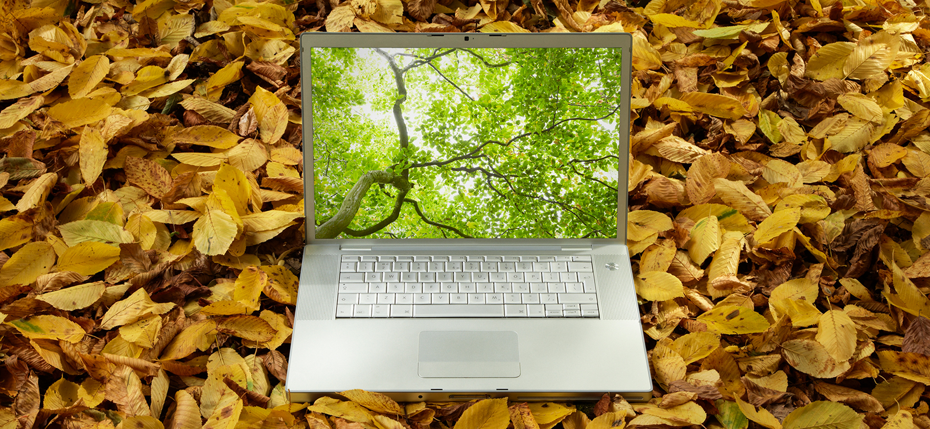 В России введут технологический сбор — платить его будут производители и импортеры электроники