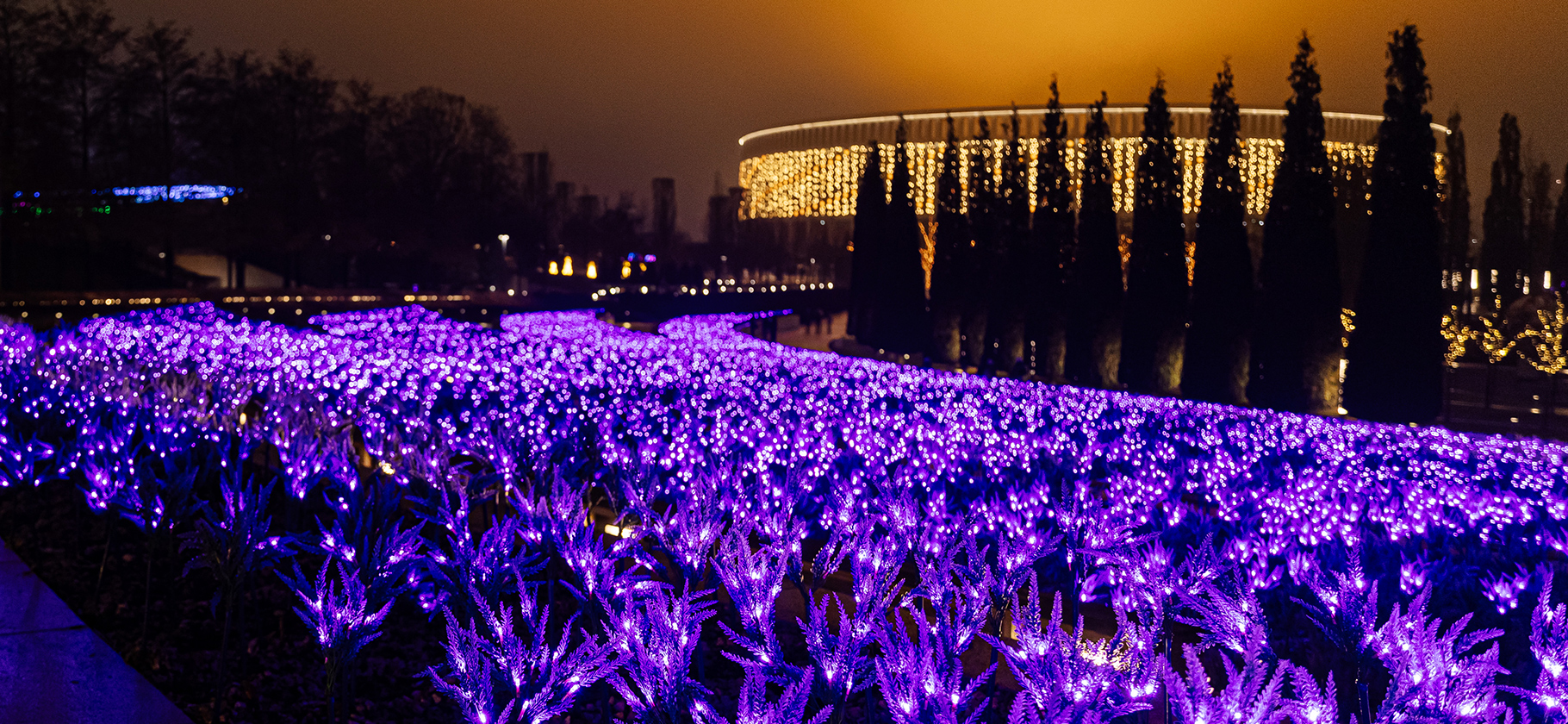 Поля неонового шалфея и цветы высотой с человека: как выглядит ново­годний Краснодар