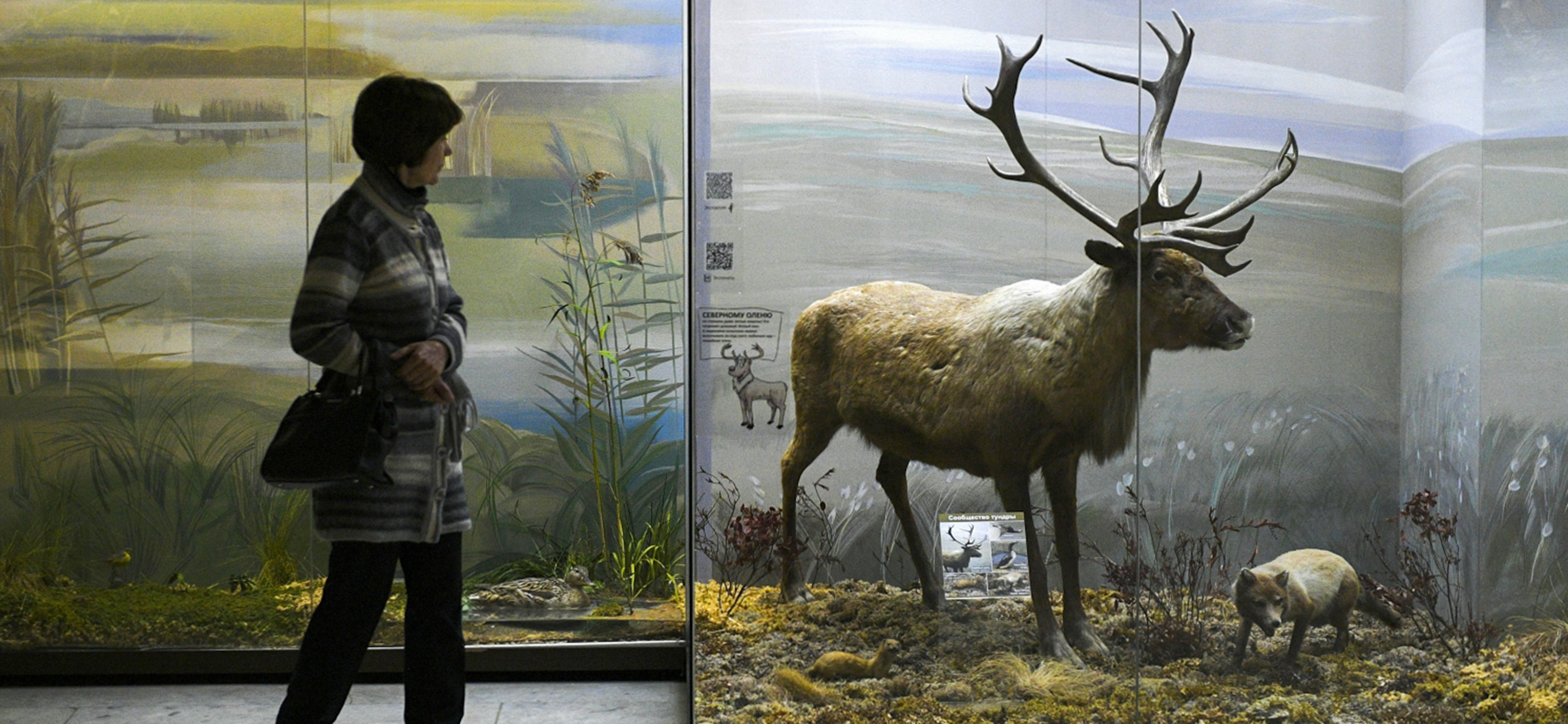 Бесплатный вход в ММОМА и Дарви­новский музей: в Москве стартовала Музейная неделя