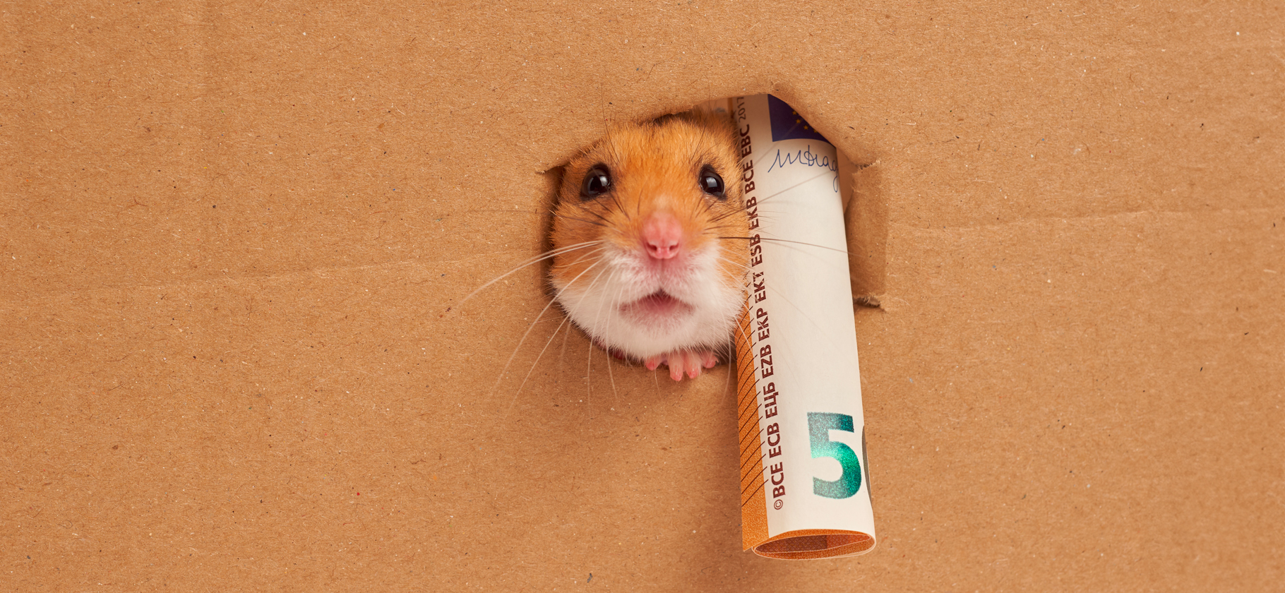 Криптобиржа Bybit запустила премаркет-торговлю токеном Hamster Kombat: что это значит