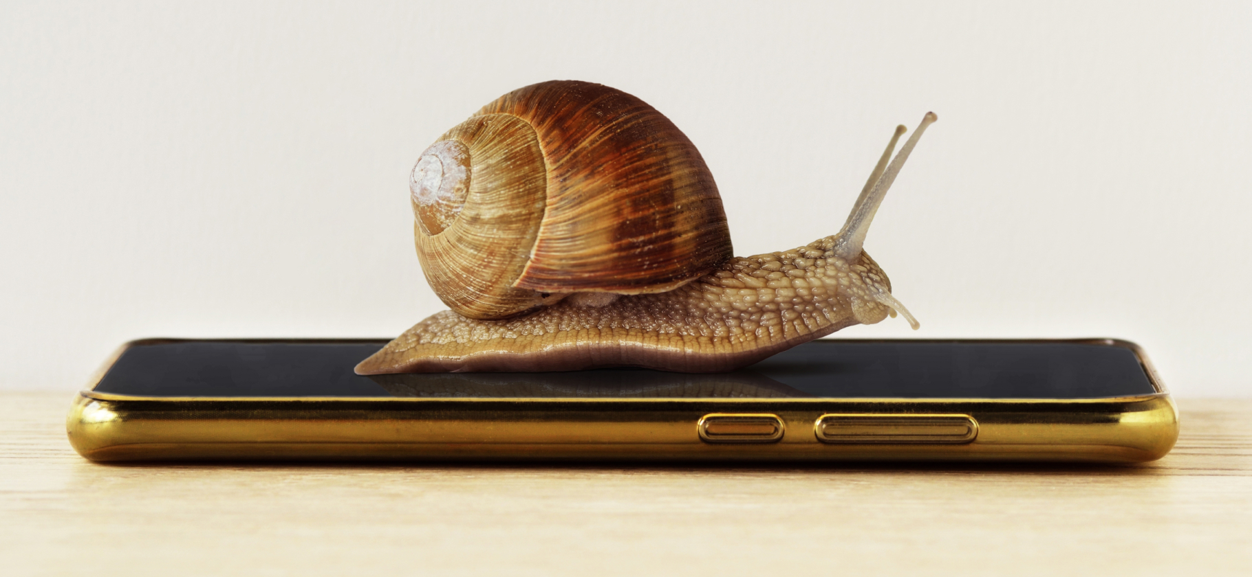 10 способов ускорить старый смартфон: практические советы