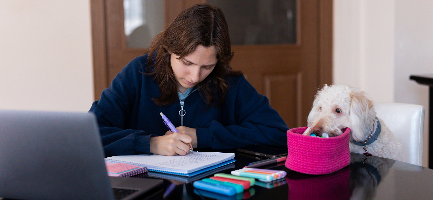 Минпросвещения хочет блокировать в интернете разборы заданий ЕГЭ и олим­пиад. Какие могут быть последствия