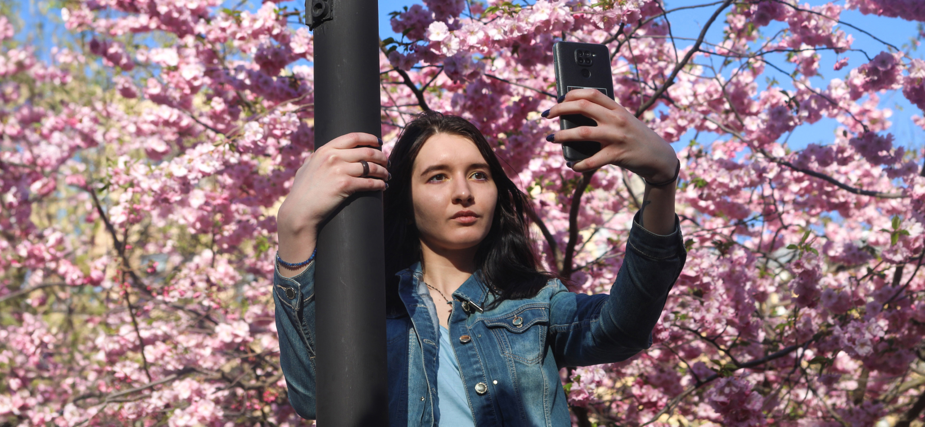 Где в Петербурге смотреть на цветение сакуры: 6 красивых мест