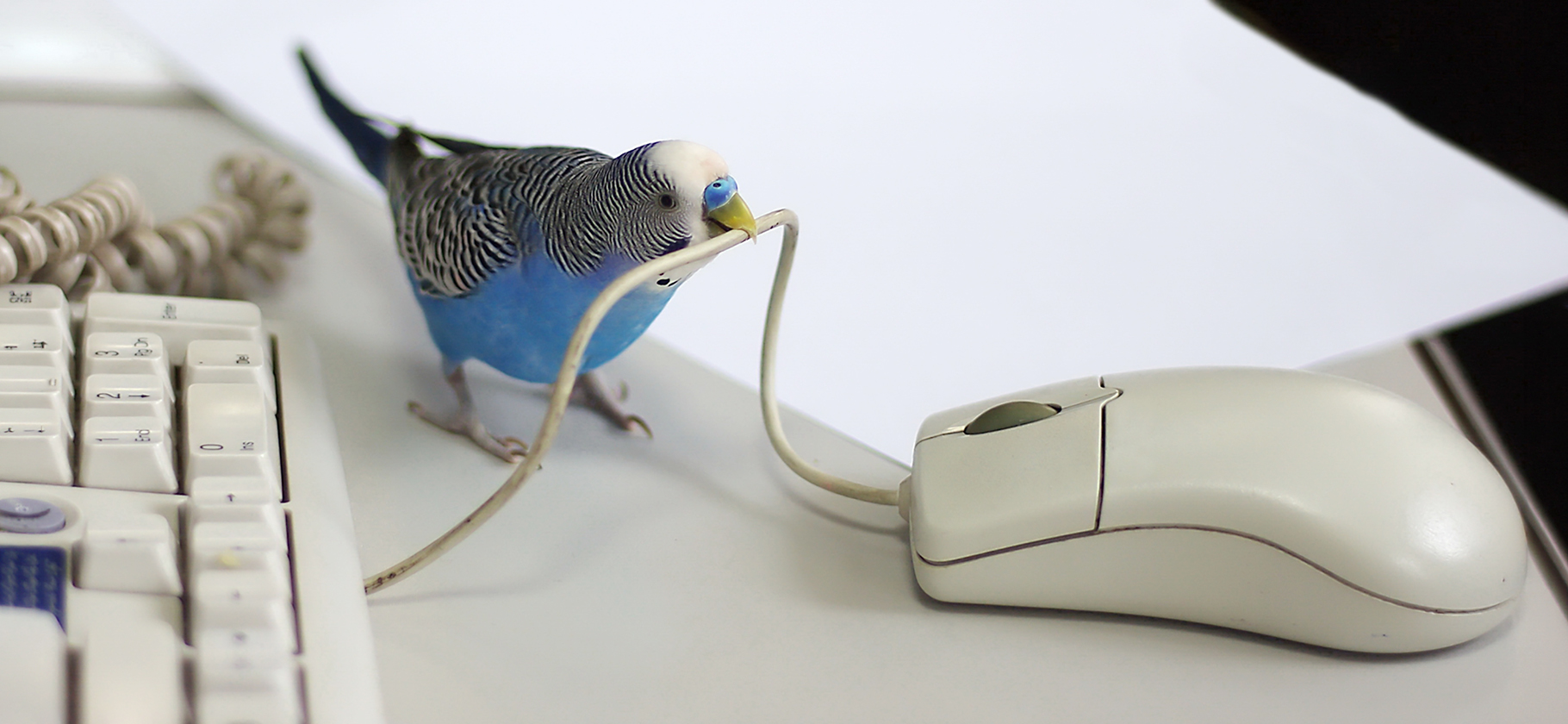 Как без бюджета привлечь клиентов из соцсетей