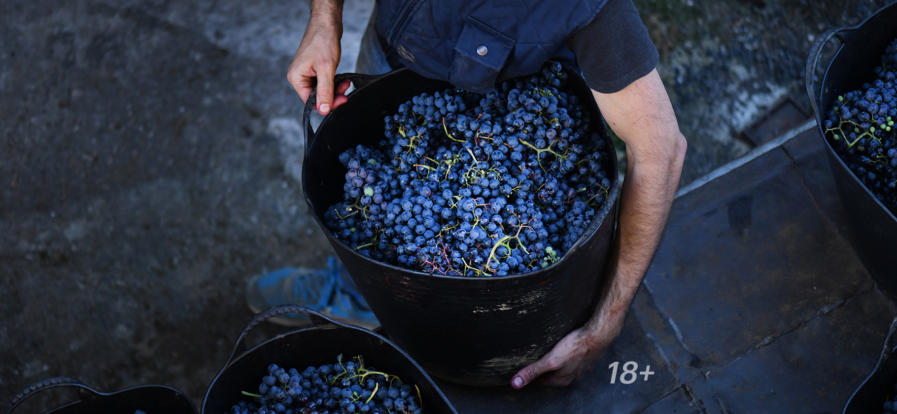 Как сделать домашнее вино из винограда