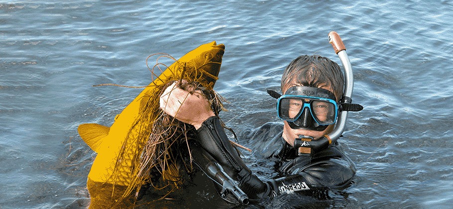 Сколько стоит стать подводным охотником