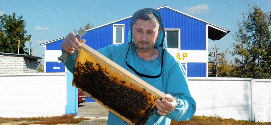 Бизнес: напитки из меда в Белгородской области