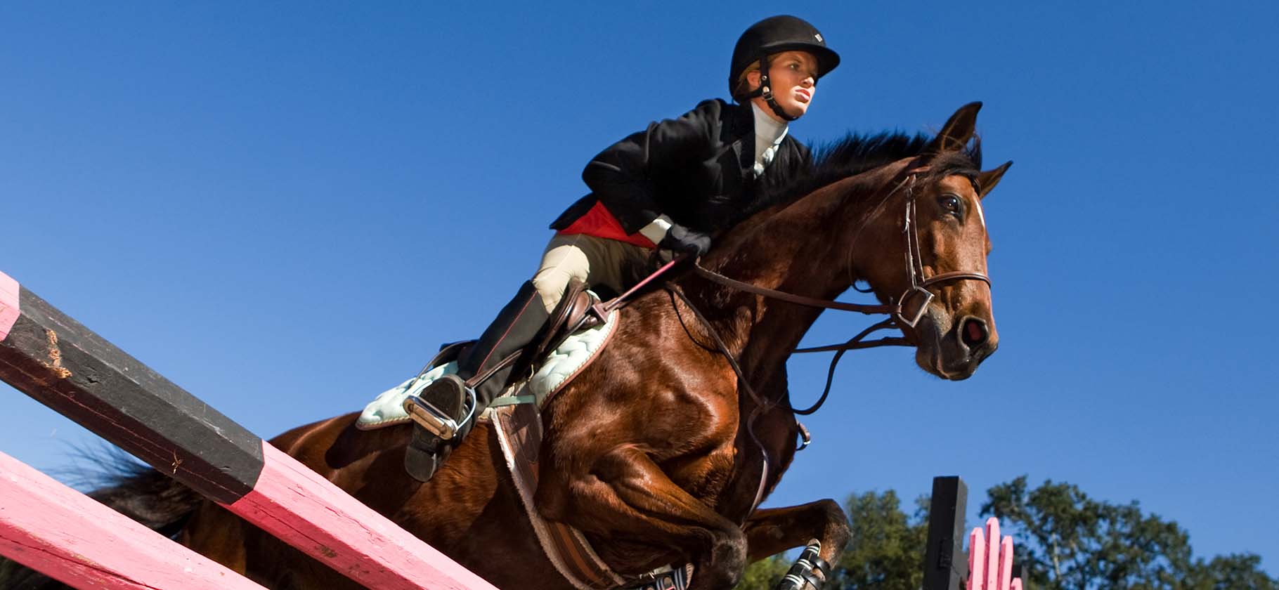 Сколько стоит заниматься конным спортом