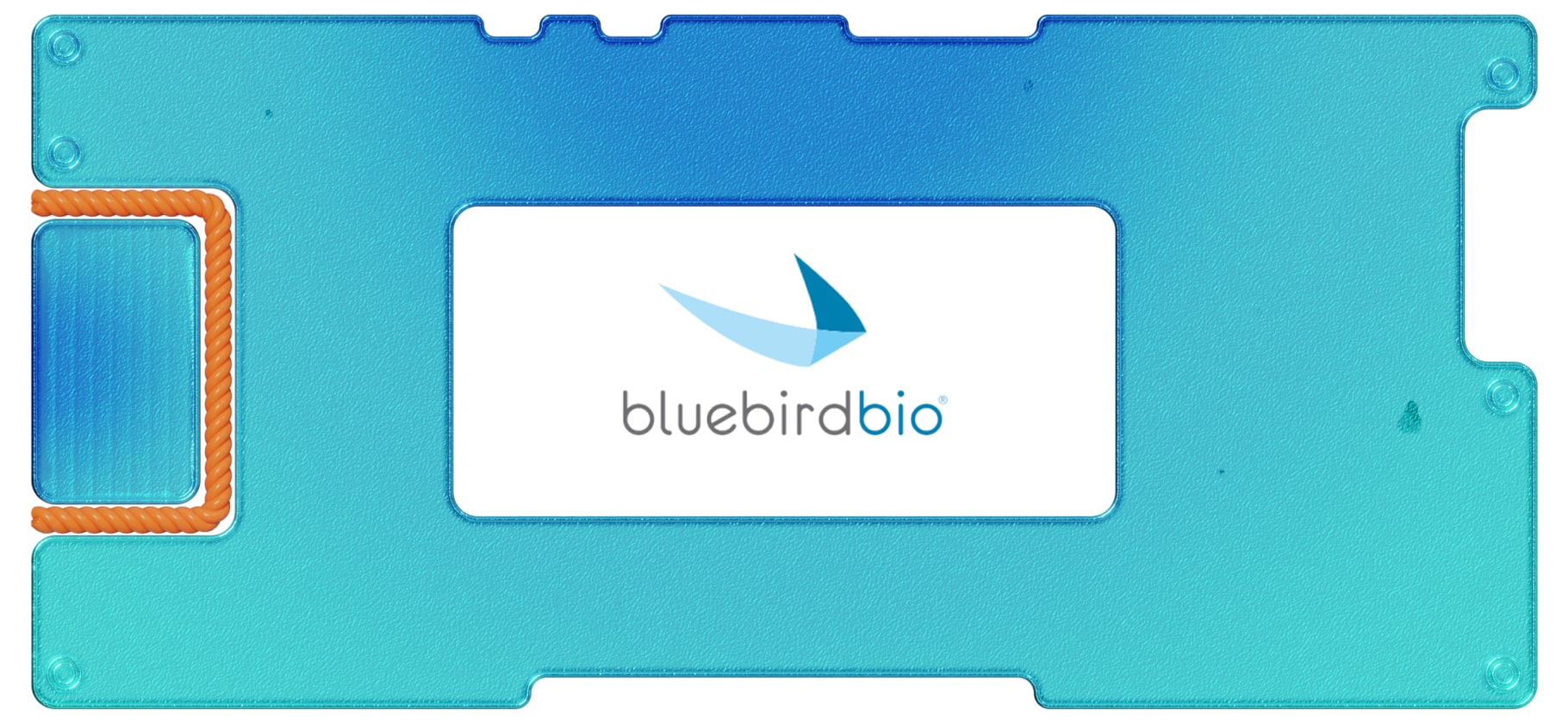 Инвестидея: Bluebird Bio, потому что упали